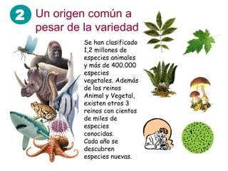 2 Un origen común a
   pesar de la variedad
            Se han clasificado
            1,2 millones de
            especies animales
            y más de 400.000
            especies
            vegetales. Además
            de los reinos
            Animal y Vegetal,
            existen otros 3
            reinos con cientos
            de miles de
            especies
            conocidas.
            Cada año se
            descubren
            especies nuevas.
 