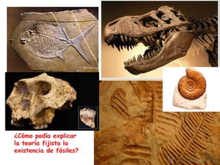 ¿Cómo podía explicar
la teoría fijista la
existencia de fósiles?
 