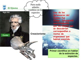 Para nada
      El fijismo       admito
                   cambios en las
Siglo XIX             especies         Uno de los
                                       defensores del
                                       fijismo fue
                                       Cuvier. Interpretó
                                       acertatamente
                                       que los fósiles que
                                       se descubrían
                                       correspondían a
                     Creacionismo      restos de
Cuvier
                                       organismos que
                                       habían existido.




                                    Primer científico en hablar
                                             de la extinción de
                                                      especies.
 