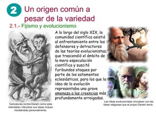 2 Un origen común a
              pesar de la variedad
2.1.- Fijismo y evolucionismo
                                           A lo largo del siglo XIX, la
                                           comunidad científica asistió
                                           al enfrentamiento entre los
                                           defensores y detractores
                                           de las teorías evolucionistas,
                                           que trascendió el ámbito de
                                           la mera especulación
                                           científica y suscitó
                                           furibundos ataques por
                                           parte de los estamentos
                                           eclesiásticos, para los que la
                                           idea de la evolución
                                           representaba una grave
                                           amenaza a las creencias más
                                           profundamente arraigadas.
                                                                        Las ideas evolucionistas chocaban con las
 Caricaturas contra Darwin como esta                                   ideas religiosas que el propio Darwin tenía.
intentaban ridiculizar sus ideas incluso
     insultándolo personalmente.
 
