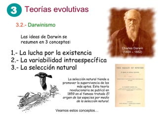 3 Teorías evolutivas
 3.2.- Darwinismo

   Las ideas de Darwin se
   resumen en 3 conceptos:
                                                            Charles Darwin
1.- La lucha por la existencia                              (1809 – 1882)


2.- La variabilidad intraespecífica
3.- La selección natural
                           La selección natural tiende a
                       promover la supervivencia de los
                                 más aptos. Esta teoría
                            revolucionaria se publicó en
                          1859 en el famoso tratado El
                       origen de las especies por medio
                                 de la selección natural.

                    Veamos estos conceptos…
 