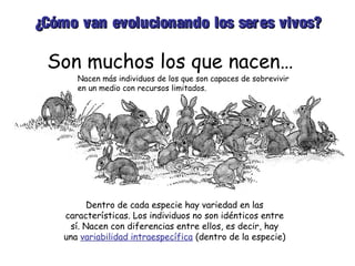 ¿Cómo van evolucionando los ser es vivos?

 Son muchos los que nacen…
       Nacen más individuos de los que son capaces de sobrevivir
       en un medio con recursos limitados.




         Dentro de cada especie hay variedad en las
    características. Los individuos no son idénticos entre
     sí. Nacen con diferencias entre ellos, es decir, hay
    una variabilidad intraespecífica (dentro de la especie)
 