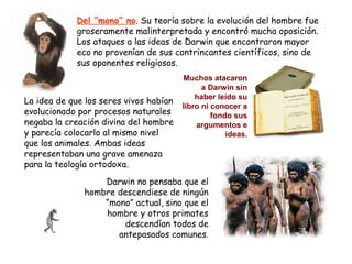 Del “mono” no. Su teoría sobre la evolución del hombre fue
             groseramente malinterpretada y encontró mucha oposición.
             Los ataques a las ideas de Darwin que encontraron mayor
             eco no provenían de sus contrincantes científicos, sino de
             sus oponentes religiosos.
                                        Muchos atacaron
                                              a Darwin sin
                                            haber leído su
La idea de que los seres vivos habían
                                        libro ni conocer a
evolucionado por procesos naturales              fondo sus
negaba la creación divina del hombre        argumentos e
y parecía colocarlo al mismo nivel                   ideas.
que los animales. Ambas ideas
representaban una grave amenaza
para la teología ortodoxa.
                  Darwin no pensaba que el
              hombre descendiese de ningún
                  “mono” actual, sino que el
                  hombre y otros primates
                      descendían todos de
                     antepasados comunes.
 