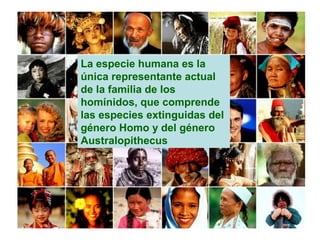 La especie humana es la
única representante actual
de la familia de los
homínidos, que comprende
las especies extinguidas del
género Homo y del género
Australopithecus
 