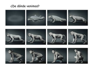 ¿De dónde venimos?
 