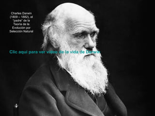 Charles Darwin
(1809 – 1882), el
  “padre” de la
   Teoría de la
  Evolución por
Selección Natural




Clic aquí para ver vídeo de la vida de Darwin
 