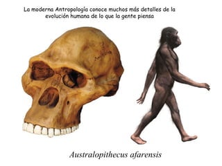 La moderna Antropología conoce muchos más detalles de la
       evolución humana de lo que la gente piensa




                Australopithecus afarensis
 