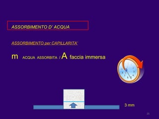 ASSORBIMENTO D’ ACQUA ASSORBIMENTO per CAPILLARITA’ m  ACQUA  ASSORBITA  /  A  faccia immersa 3 mm 