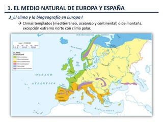 Unión fama Electricista El Medio Natural España y Europa (Tema 2)