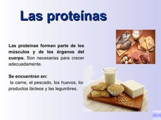 Las proteínas

Las proteínas forman parte de los
músculos y de los órganos del
cuerpo. Son necesarias para crecer
adecuadamente.

Se encuentran en:
 la carne, el pescado, los huevos, los
productos lácteos y las legumbres.
 