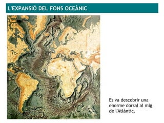 L'EXPANSIÓ DEL FONS OCEÀNIC
Es va descobrir una
enorme dorsal al mig
de l'Atlàntic.
 