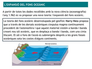 La teoria del fons oceànic desenvolupada pel geofísic Harry Hess proposa
que a través de les dorsals oceàniques s'expulsa magma contínuament
procedent de l'astenosfera i que aquest material s'estén a banda i banda
creant nou sòl oceànic, que es desplaça a banda i banda, com una cinta
lliscant. El sòl o fons de l'oceà es submergeix després a les grans fosses
oceàniques sota les costes d'alguns continents.
L'EXPANSIÓ DEL FONS OCEÀNIC
A partir de totes les dades recollides amb la nova ciència (oceanografia)
l'any 1.962 es va proposar una nova teoria: l'expansió del fons oceànic.
 