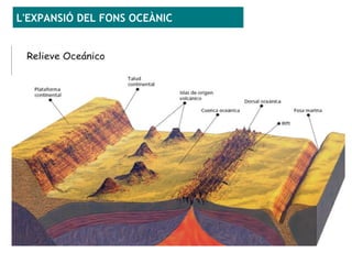 L'EXPANSIÓ DEL FONS OCEÀNIC
 