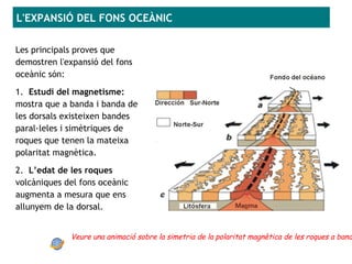 L'EXPANSIÓ DEL FONS OCEÀNIC
Les principals proves que
demostren l'expansió del fons
oceànic són:
1. Estudi del magnetisme:
mostra que a banda i banda de
les dorsals existeixen bandes
paral·leles i simètriques de
roques que tenen la mateixa
polaritat magnètica.
2. L’edat de les roques
volcàniques del fons oceànic
augmenta a mesura que ens
allunyem de la dorsal.
Veure una animació sobre la simetria de la polaritat magnètica de les roques a band
 