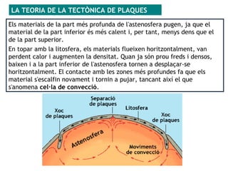 LA TEORIA DE LA TECTÒNICA DE PLAQUES
Els materials de la part més profunda de l'astenosfera pugen, ja que el
material de la part inferior és més calent i, per tant, menys dens que el
de la part superior.
En topar amb la litosfera, els materials flueixen horitzontalment, van
perdent calor i augmenten la densitat. Quan ja són prou freds i densos,
baixen i a la part inferior de l'astenosfera tornen a desplaçar-se
horitzontalment. El contacte amb les zones més profundes fa que els
material s'escalfin novament i tornin a pujar, tancant així el que
s'anomena cel·la de convecció.
 