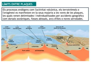 LÍMITS ENTRE PLAQUES
Els processos endògens com l'activitat volcànica, els terratrèmols o
l'orogènesi es manifesten en la seua majoria a les vores de les plaques,
les quals venen delimitades i individualitzades per accidents geogràfics
com dorsals oceàniques, fosses abissals, arcs d'illes o noves serralades.
 