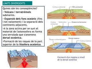 LÍMITS DIVERGENTS
Quines són les conseqüències?
• Volcans i terratrèmols
submarins.
• Expansió dels fons oceànic (fins
i tot naixement) i la separació dels
continents adjacents.
•A la zona activa per on surt el
material de l'astenosfera es forma
una serralada que s'anomena
dorsal oceànica.
•Formació de les roques de la part
superior de la litosfera oceànica.
Formació d'un magma a nivell
de la dorsal oceànica
 