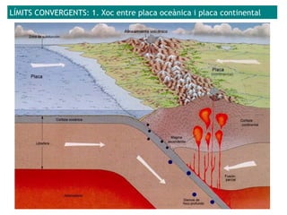 LÍMITS CONVERGENTS: 1. Xoc entre placa oceànica i placa continental
 