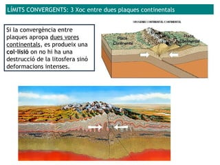 LÍMITS CONVERGENTS: 3 Xoc entre dues plaques continentals
Si la convergència entre
plaques apropa dues vores
continentals, es produeix una
col·lisió on no hi ha una
destrucció de la litosfera sinó
deformacions intenses.
 
