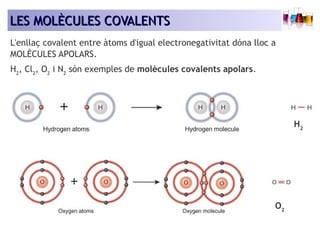 LLEESS MMOOLLÈÈCCUULLEESS CCOOVVAALLEENNTTSS 
L'enllaç covalent entre àtoms d'igual electronegativitat dóna lloc a 
MOLÈCULES APOLARS. 
H2, Cl2, O2 i N2 són exemples de molècules covalents apolars. 
H2 
O2 
 