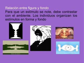 Relación entre figura y fondo Para que un estímulo se note, debe contrastar con el ambiente. Los individuos organizan los estímulos en forma y fondo 