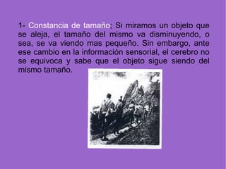 1-  Constancia de tamaño ; Si miramos un objeto que se aleja, el tamaño del mismo va disminuyendo, o sea, se va viendo mas pequeño. Sin embargo, ante ese cambio en la información sensorial, el cerebro no se equivoca y sabe que el objeto sigue siendo del mismo tamaño. 