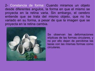 2-  Constancia de forma:  Cuando miramos un objeto desde diferentes angulos, la forma en que el mismo se proyecta en la retina varia. Sin embargo, el cerebro entiende que se trata del mismo objeto, que no ha variado en su forma, a pesar de que la imagen que se proyecta en la retina cambia. Se observan las deformaciones elípticas de las formas circulares, y no por ello dejan de percibirse las tazas con las mismas formas como circulares. 