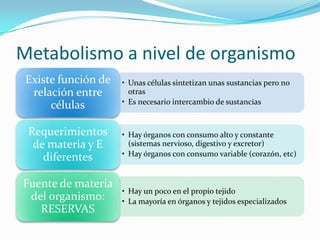 Metabolismo a nivel de organismo