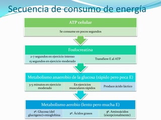 Secuencia de consumo de energía