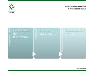 LA EXPERIMENTACIÓN
   CARACTERÍSTICAS
 