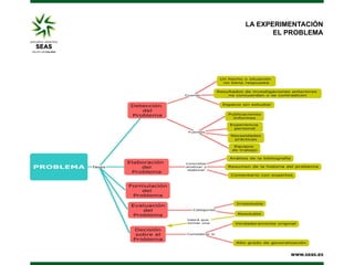 LA EXPERIMENTACIÓN
       EL PROBLEMA
 