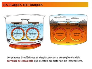 LES PLAQUES TECTÒNIQUES
Les plaques litosfèriques es desplacen com a conseqüència dels
corrents de convecció que afecten els materials de l'astenosfera.
 