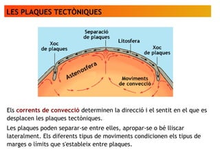 LES PLAQUES TECTÒNIQUES
Els corrents de convecció determinen la direcció i el sentit en el que es
desplacen les plaques tectòniques.
Les plaques poden separar-se entre elles, apropar-se o bé lliscar
lateralment. Els diferents tipus de moviments condicionen els tipus de
marges o límits que s'estableix entre plaques.
 