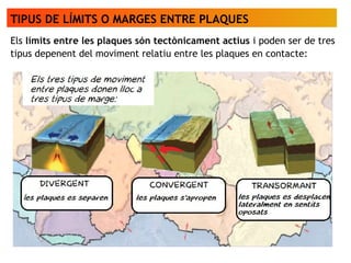 TIPUS DE LÍMITS O MARGES ENTRE PLAQUES
Els límits entre les plaques són tectònicament actius i poden ser de tres
tipus depenent del moviment relatiu entre les plaques en contacte:
 