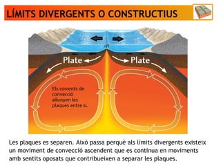 LÍMITS DIVERGENTS O CONSTRUCTIUS
Les plaques es separen. Això passa perquè als límits divergents existeix
un moviment de convecció ascendent que es continua en moviments
amb sentits oposats que contribueixen a separar les plaques.
 
