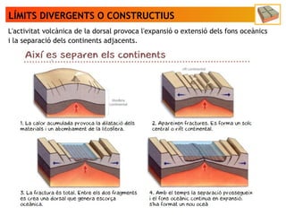 LÍMITS DIVERGENTS O CONSTRUCTIUS
L'activitat volcànica de la dorsal provoca l'expansió o extensió dels fons oceànics
i la separació dels continents adjacents.
 