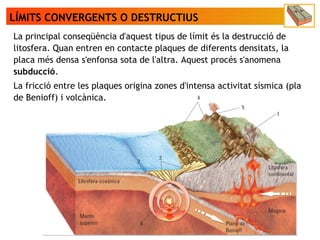 LÍMITS CONVERGENTS O DESTRUCTIUS
La principal conseqüència d'aquest tipus de límit és la destrucció de
litosfera. Quan entren en contacte plaques de diferents densitats, la
placa més densa s'enfonsa sota de l'altra. Aquest procés s'anomena
subducció.
La fricció entre les plaques origina zones d'intensa activitat sísmica (pla
de Benioff) i volcànica.
 