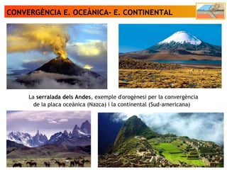 CONVERGÈNCIA E. OCEÀNICA- E. CONTINENTAL
La serralada dels Andes, exemple d'orogènesi per la convergència
de la placa oceànica (Nazca) i la continental (Sud-americana)
 