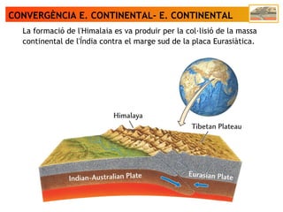 CONVERGÈNCIA E. CONTINENTAL- E. CONTINENTAL
La formació de l'Himalaia es va produir per la col·lisió de la massa
continental de l'Índia contra el marge sud de la placa Eurasiàtica.
 