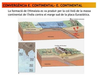 CONVERGÈNCIA E. CONTINENTAL- E. CONTINENTAL
La formació de l'Himalaia es va produir per la col·lisió de la massa
continental de l'Índia contra el marge sud de la placa Eurasiàtica.
 