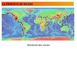 LA PROPOSTA DE WILSON
Distribució dels volcans
 