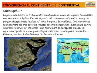 CONVERGÈNCIA E. CONTINENTAL- E. CONTINENTAL
Sabies què...?
La península Ibèrica es troba localitzada dins d'una secció de la placa Euroasiàtica
que s'anomena subplaca ibèrica. Aquesta microplaca es troba entre dues grans
plaques litosfèriques: la placa Africana i la placa Euroasiàtica. Dels moviments
relatius entre les tres parts ha resultat l'última orogènia de la península que es
va produir a finals del Mesozoic i que forma part de l'orogènia alpina. En
aquesta orogènia es van originar els grans sistemes muntanyosos peninsulars:
Pirineus, les Serralades Bètiques i la Serralada Ibèrica.
 