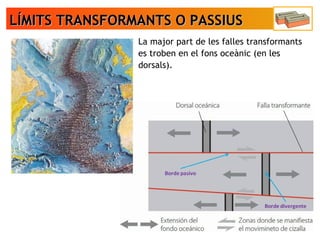 LÍMITS TRANSFORMANTS O PASSIUSLÍMITS TRANSFORMANTS O PASSIUS
La major part de les falles transformants
es troben en el fons oceànic (en les
dorsals).
 