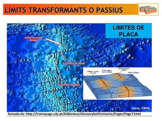 LÍMITS TRANSFORMANTS O PASSIUSLÍMITS TRANSFORMANTS O PASSIUS
 