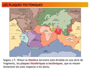 Segons J.T. Wilson la litosfera terrestre està dividida en una sèrie de
fragments, les plaques litosfèriques o tectòniques, que es mouen
lentament les unes respecte a les altres.
LES PLAQUES TECTÒNIQUES
 
