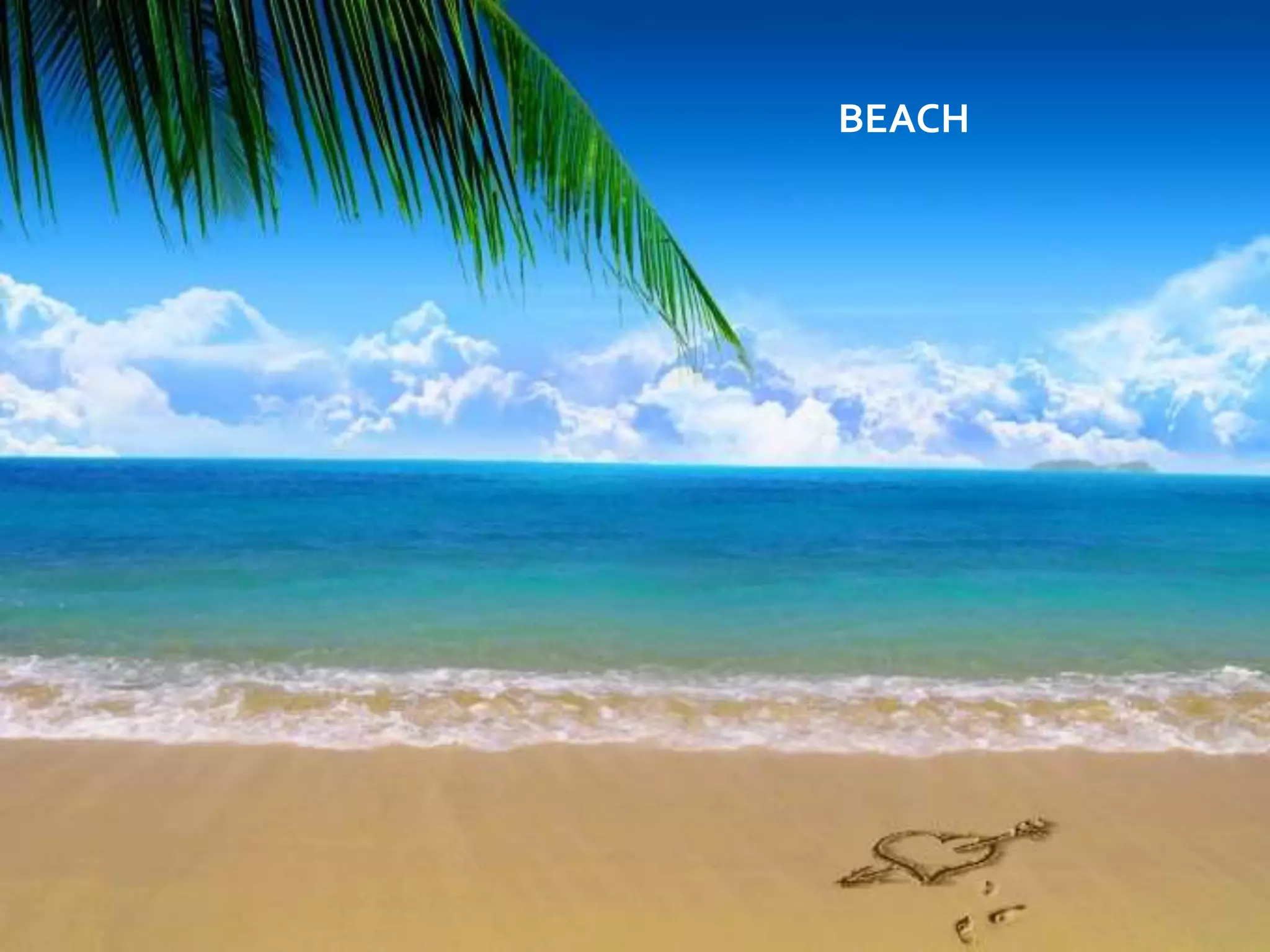 BEACH
 