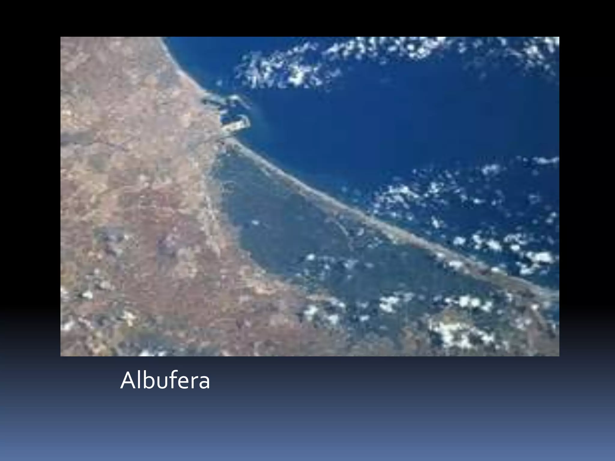 Albufera
 