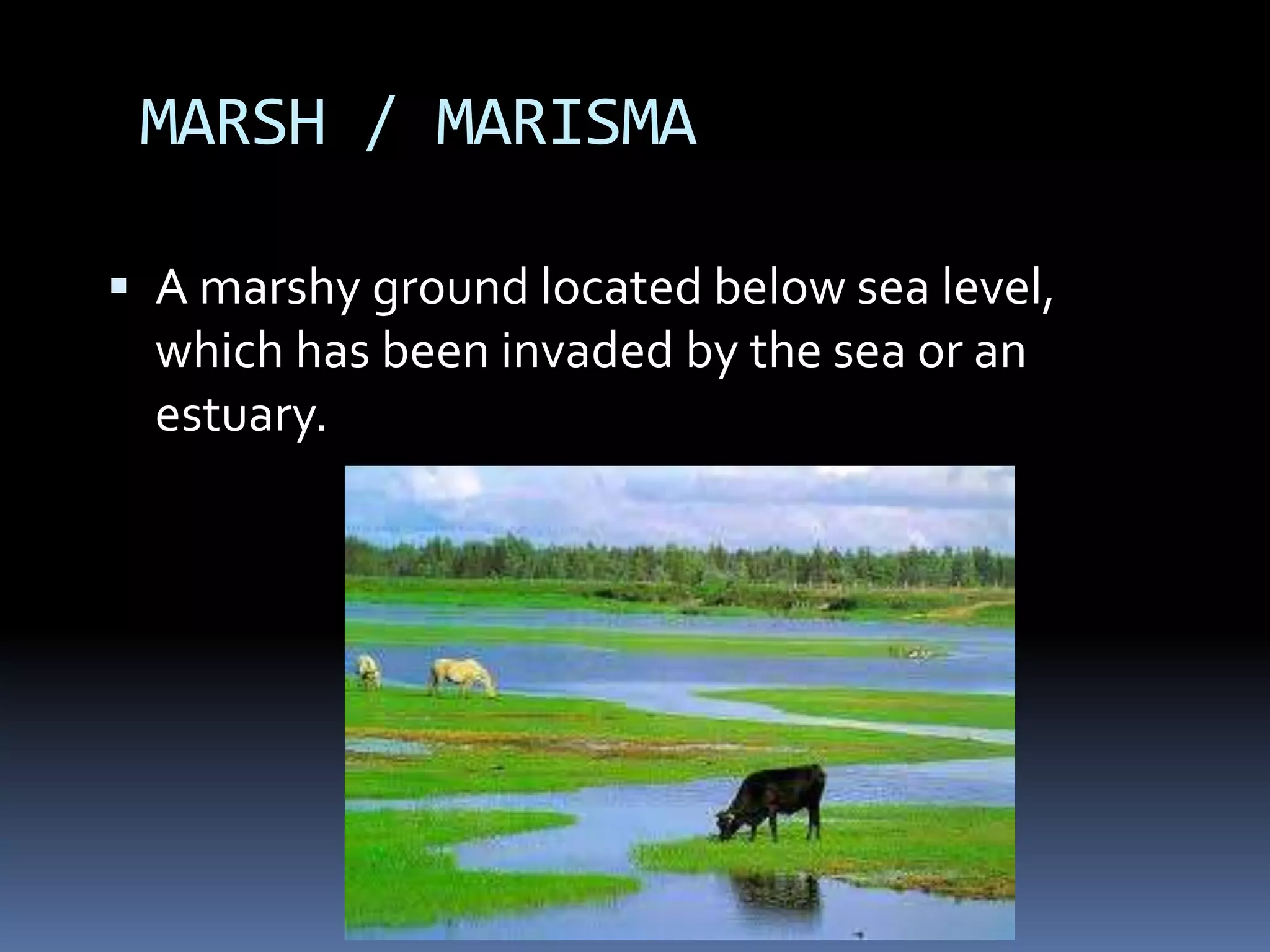 MARSH / MARISMA
 A marshy ground located below sea level,
which has been invaded by the sea or an
estuary.
 