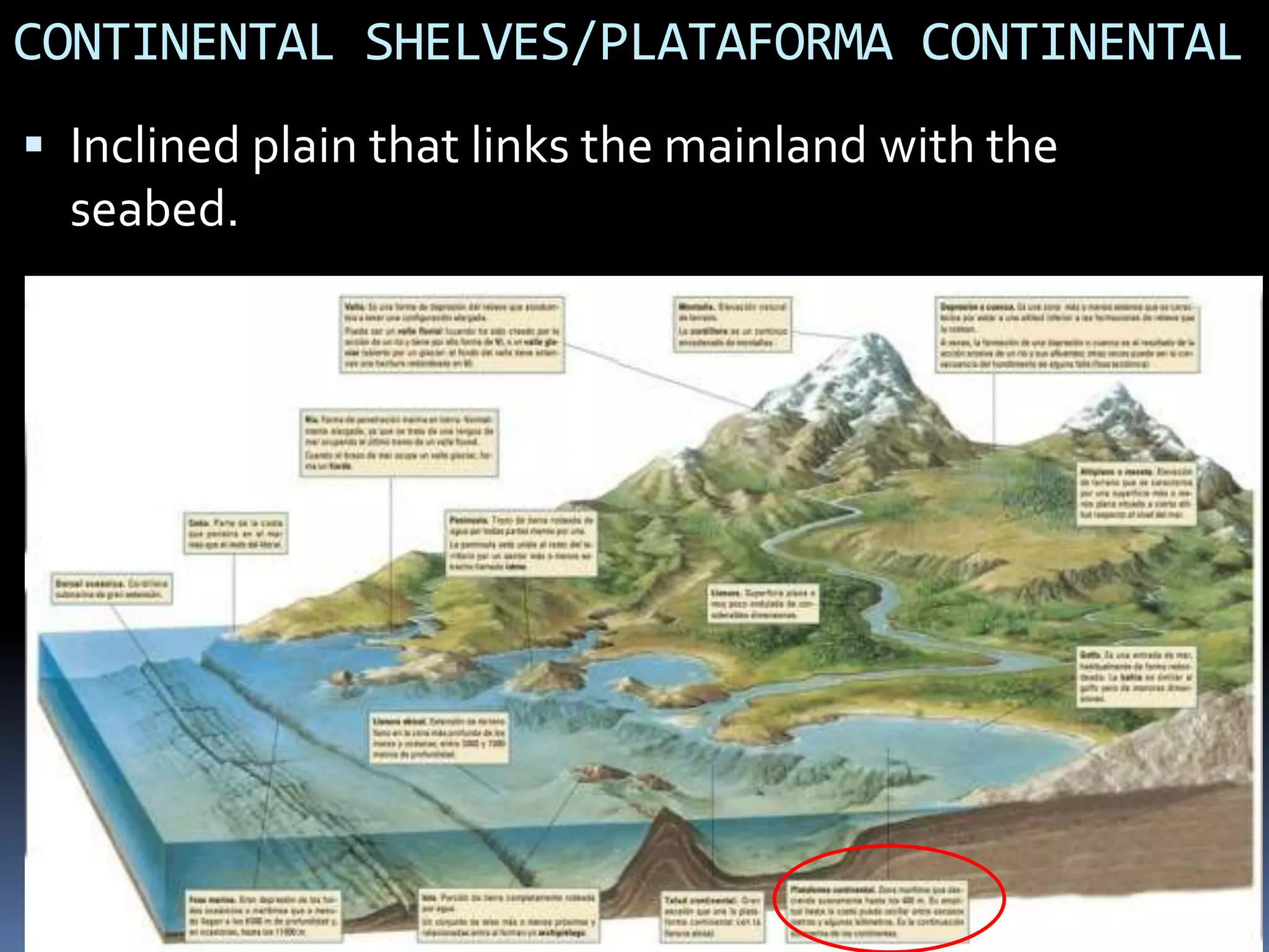CONTINENTAL SHELVES/PLATAFORMA CONTINENTAL
 Inclined plain that links the mainland with the
seabed.
 