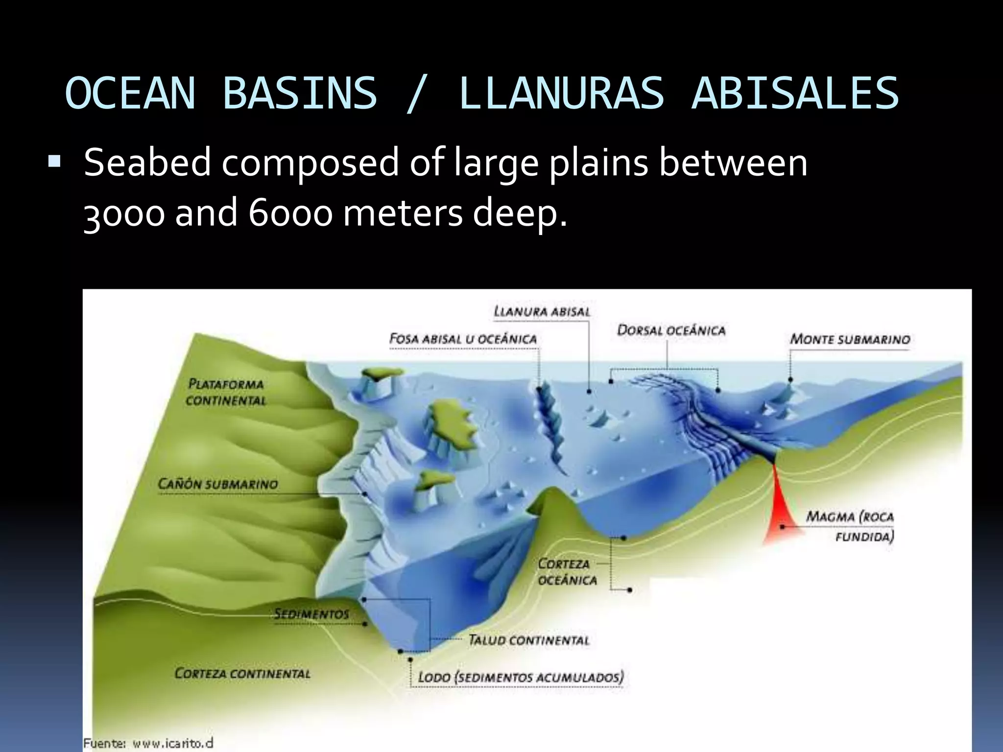 OCEAN BASINS / LLANURAS ABISALES
 Seabed composed of large plains between
3000 and 6000 meters deep.
 